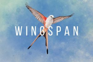 展翅翱翔 WINGSPAN for Mac v1.4.154 中文原生版附DLC