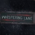 Whispering Lane for Mac v1.0.1 沙沙小巷 心理恐怖游戏